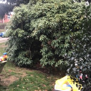 Meet your Posher, Odessa